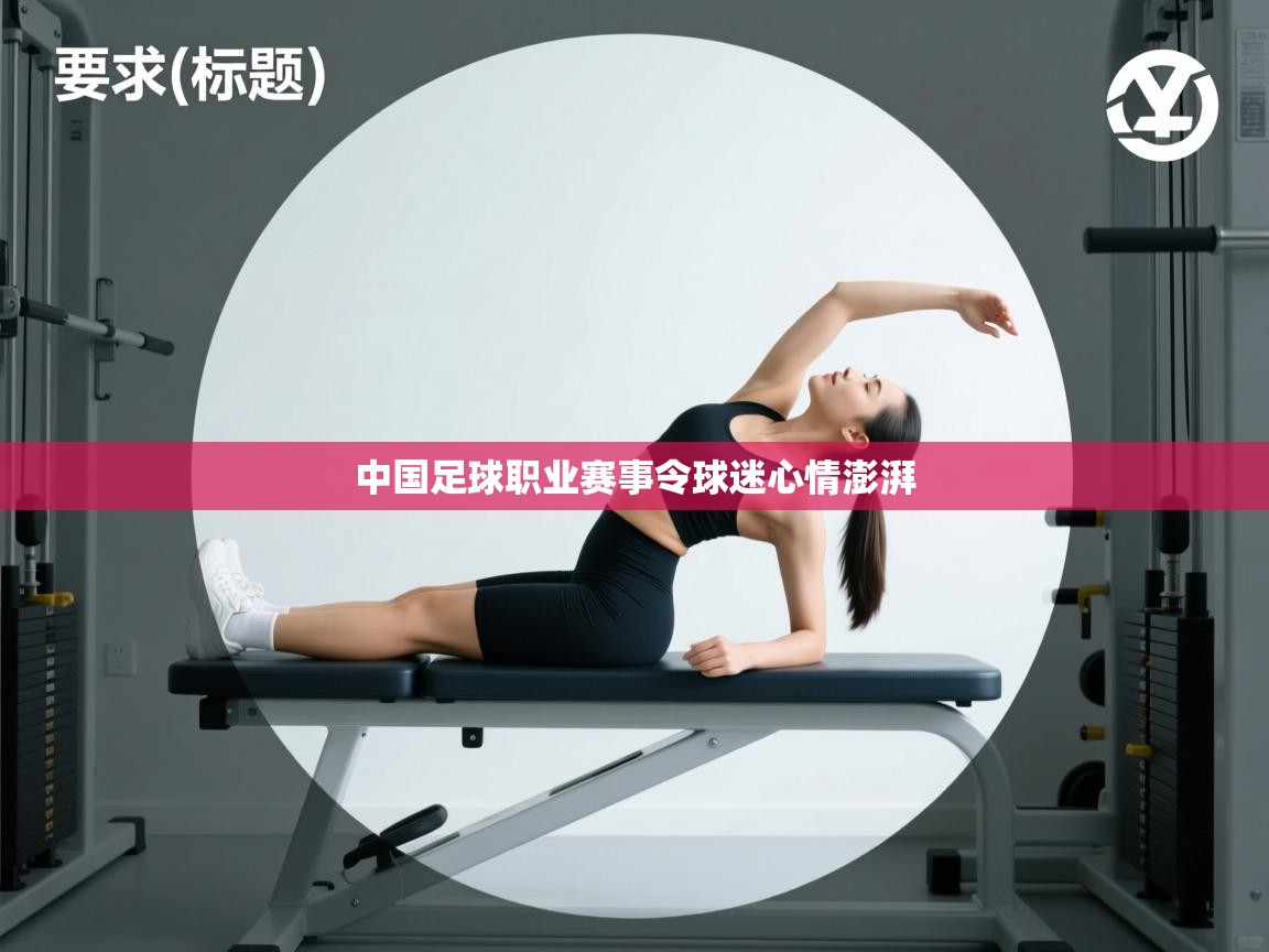 中国足球职业赛事令球迷心情澎湃  第1张