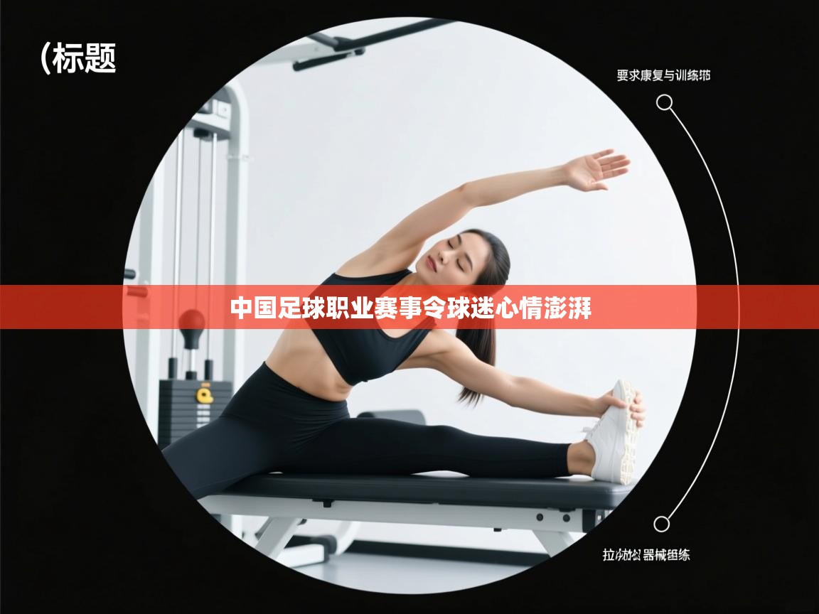中国足球职业赛事令球迷心情澎湃  第2张