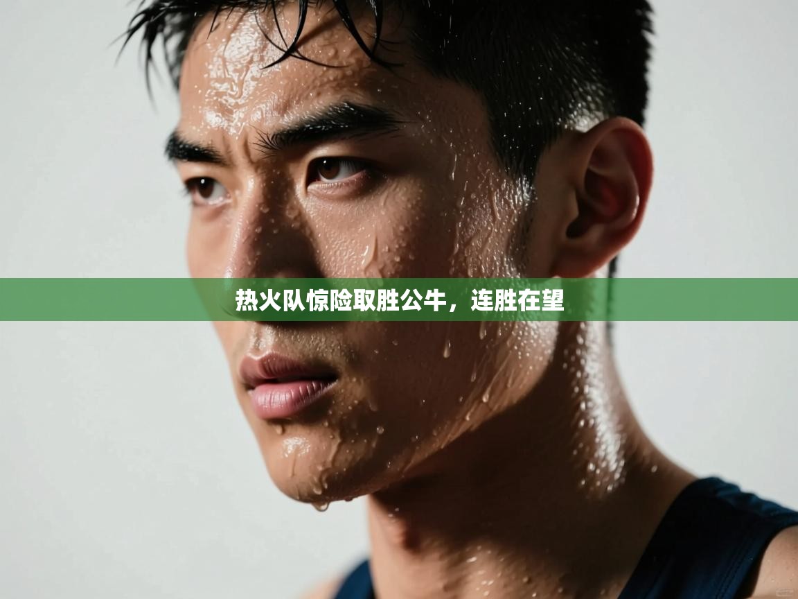 热火队惊险取胜公牛,连胜在望 第1张