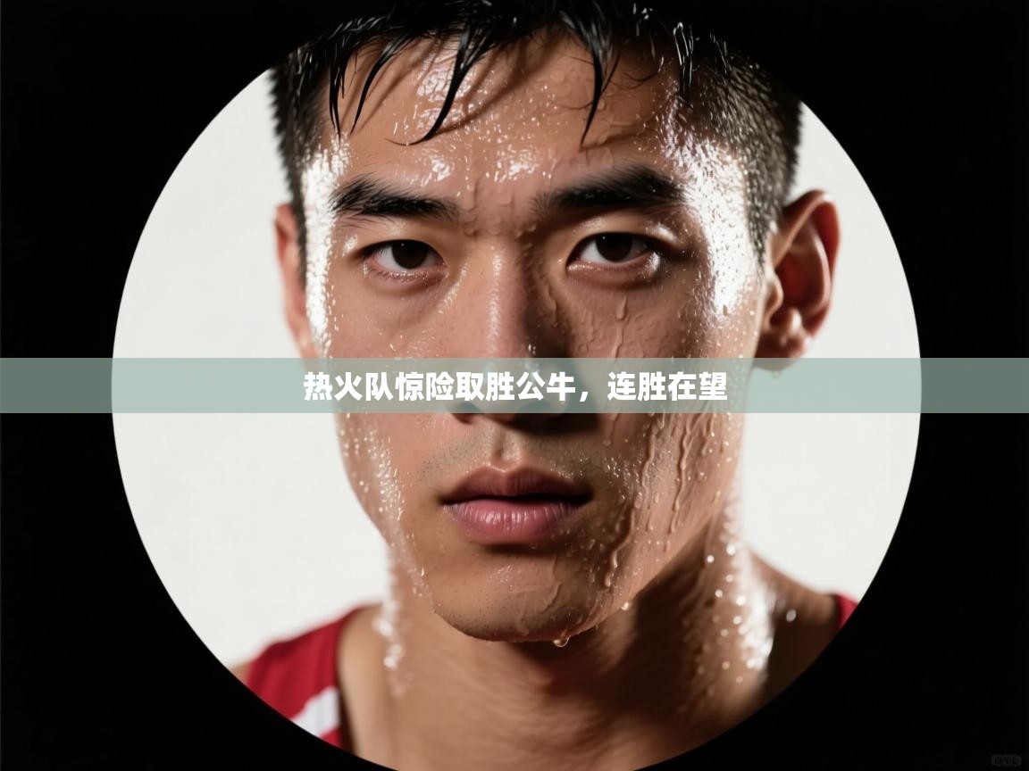 热火队惊险取胜公牛,连胜在望 第2张